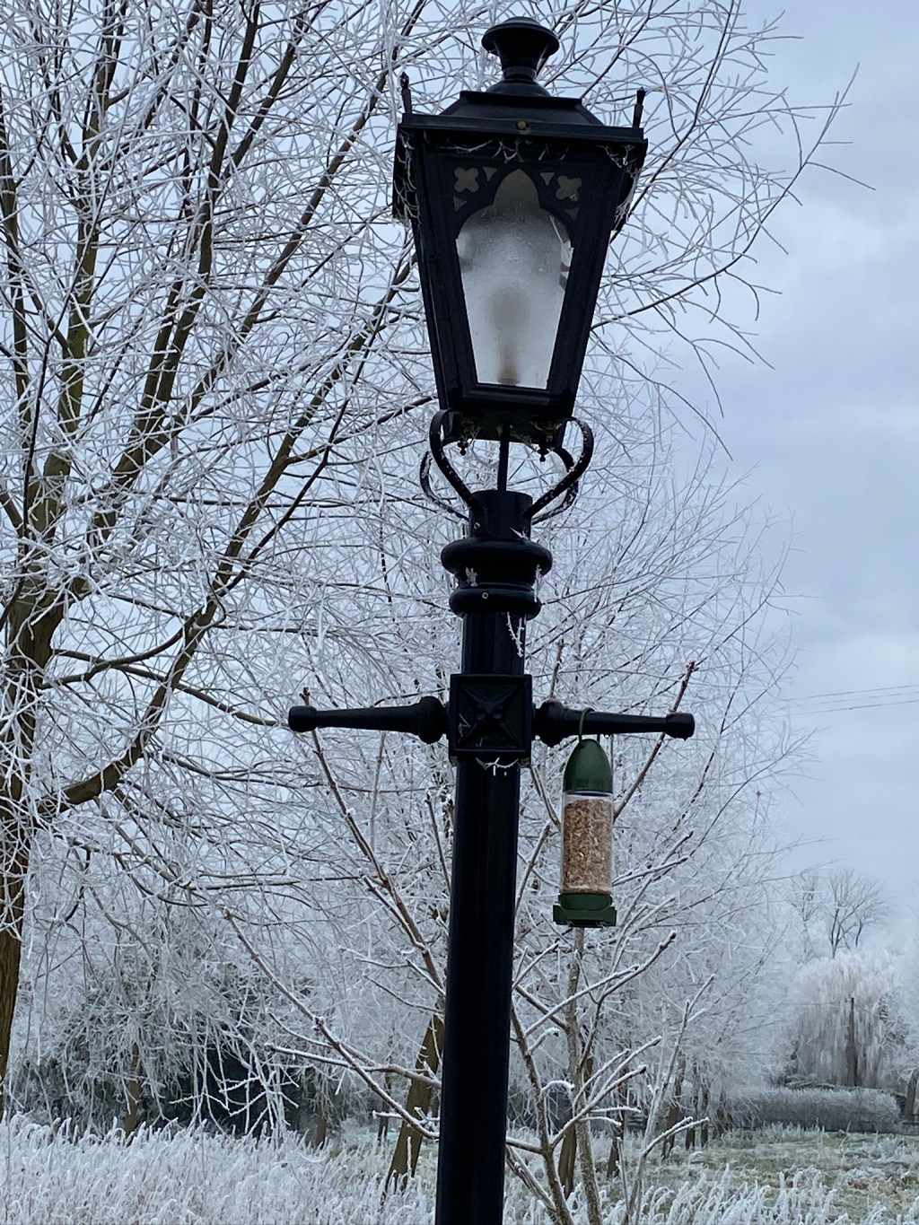 Bird feeders out in the cold&nbsp;snap