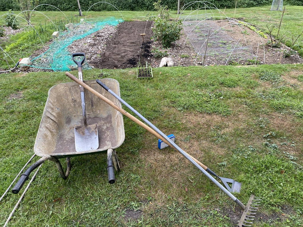 Planting Musselburgh Leeks