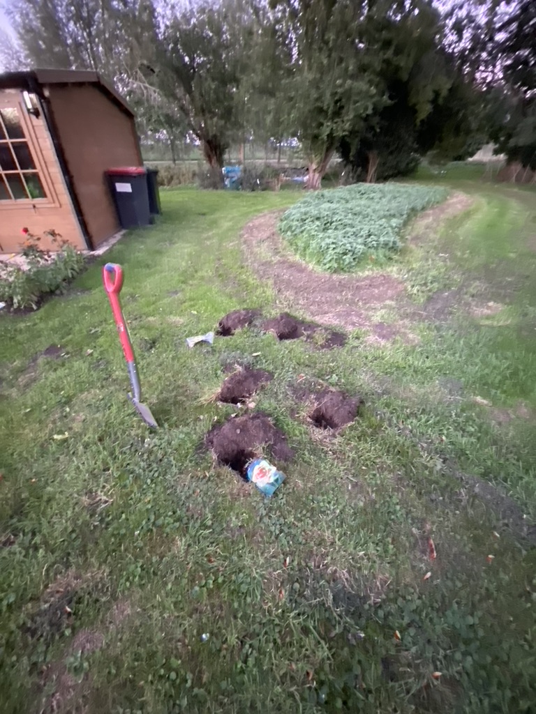 Autumn Job – Planting Spring&nbsp;Bulbs