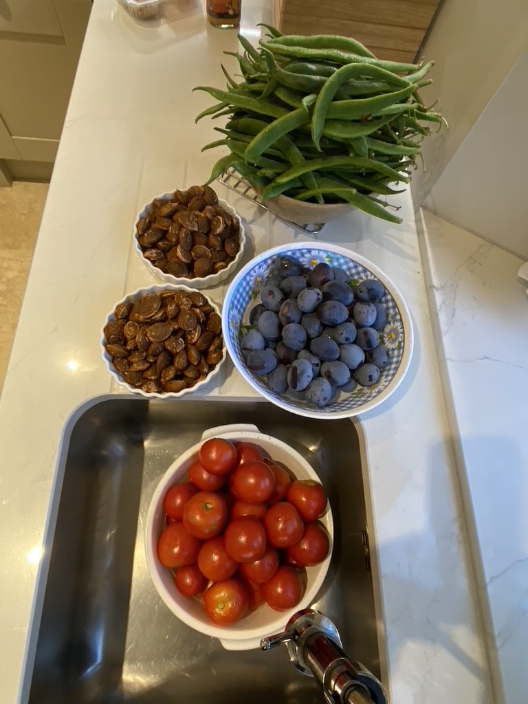 Harvest time at The Old&nbsp;Vicarage