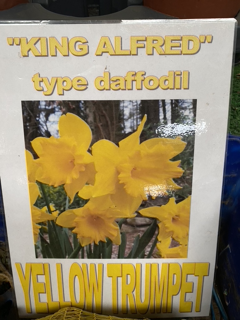 Autumn Job – Bulb planting round&nbsp;two