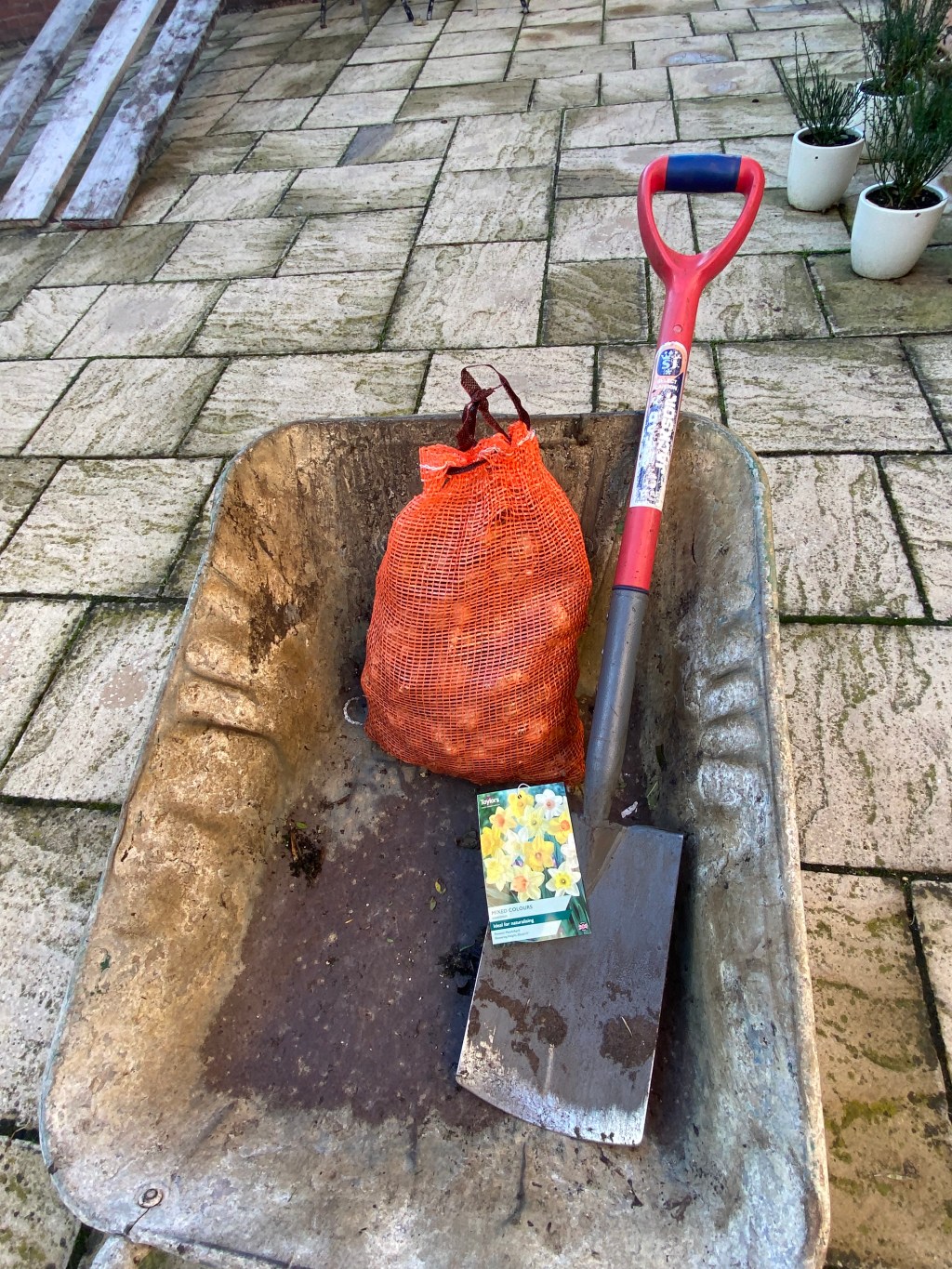 Autumn Job – Bulb planting round&nbsp;four