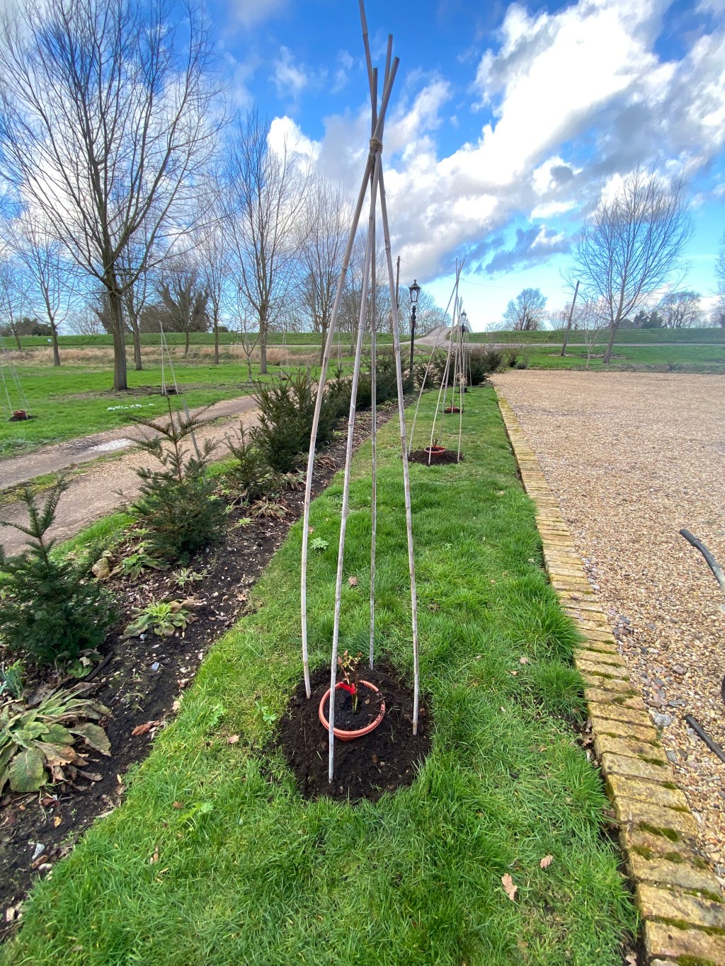 Planting Climbing and Bush&nbsp;Roses
