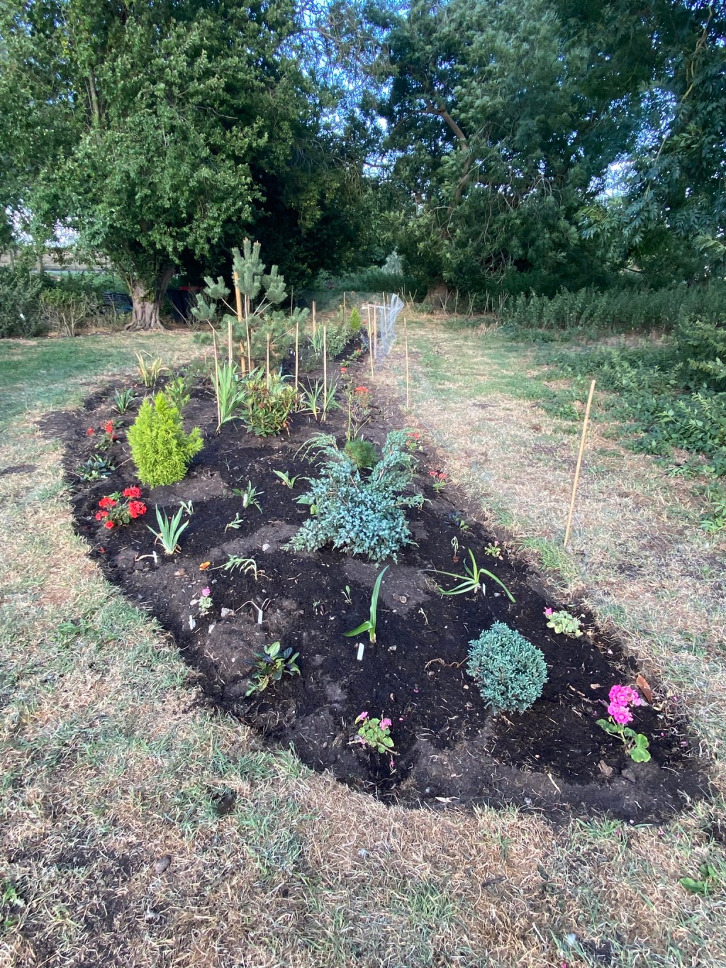Digging out and planting a new border in the&nbsp;garden