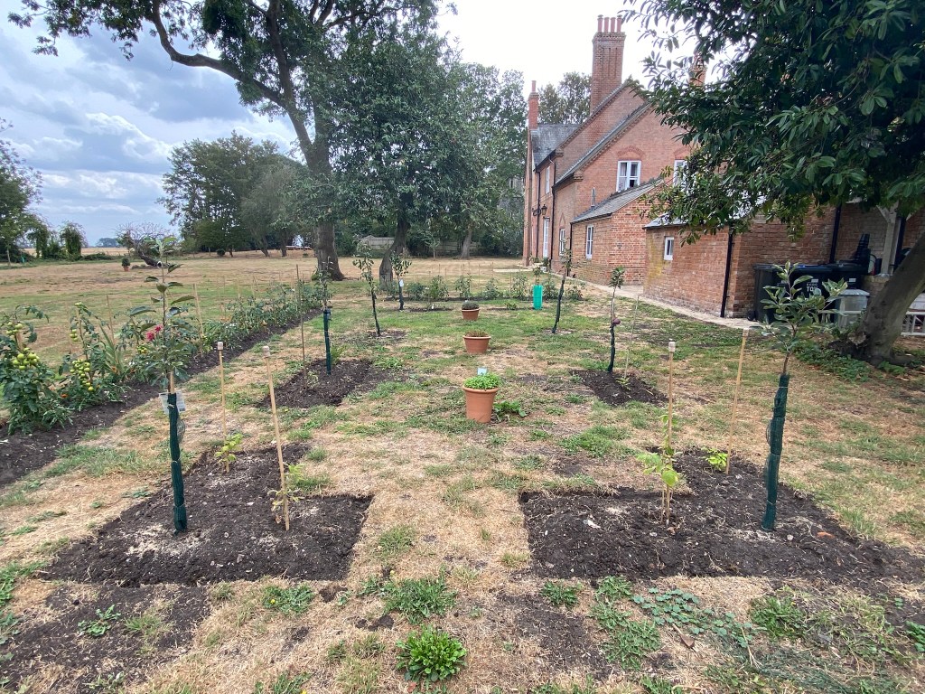 A week in The Old Vicarage&nbsp;Garden